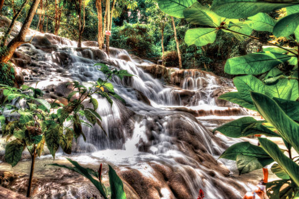 ジャマイカのダンの川を滝します。 - オーチョリオス 写真 ストックフォトと画像