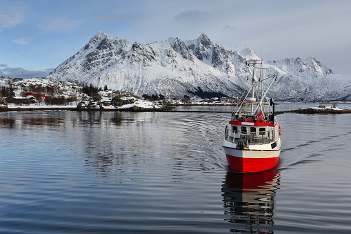 Fishing boat entering Sildpolltjonna bay from the east. Austnesfjorden-Austvagoya-Nordland-Norway. 0168