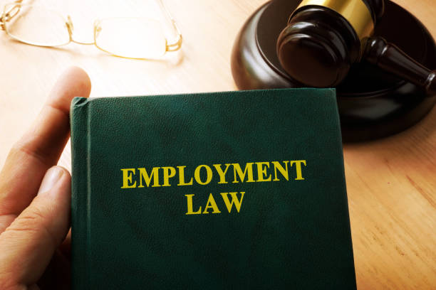 istock Employment law on an office table. 824399496