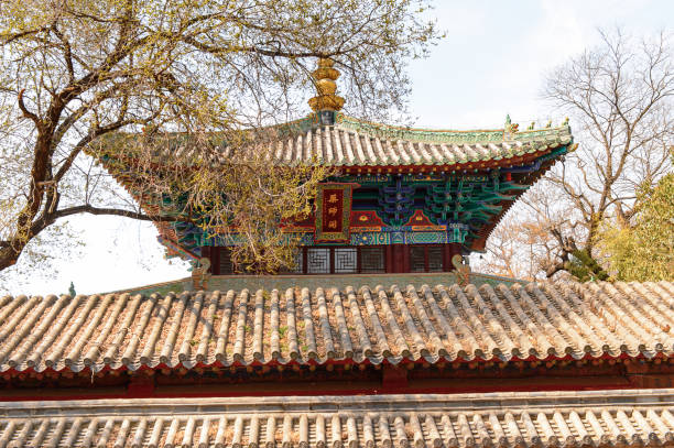 istock Pagoda at the Authentic Shaolin Monastery (Shaolin Temple), a Zen Buddhist temple. UNESCO World Heritage site 824399626