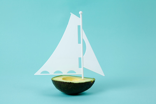 avocado half with white sail on a turquoise background. minimal and quirky color still life photography