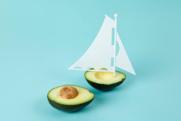 barco de abacate - vegetarian food creativity vegetable humor - fotografias e filmes do acervo