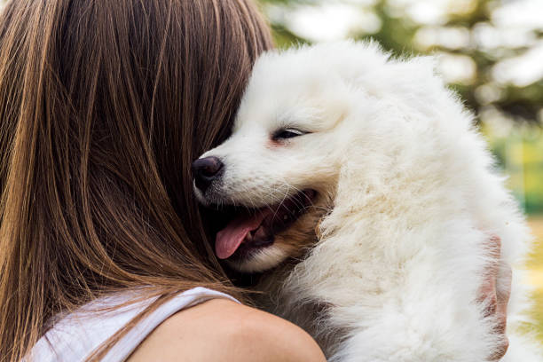 istock Woman playing with a small dog 824504506