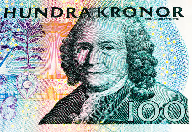 istock European currancy banknote 824528178