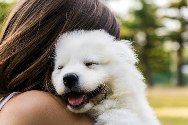 istock Woman playing with a small dog 824540862