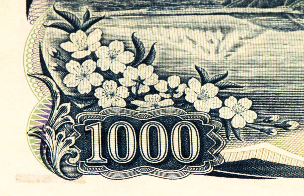 istock Currancy banknote of Asia 824541386
