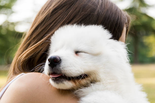 istock Woman playing with a small dog 824541406