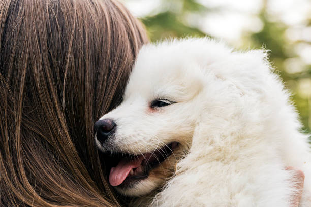 istock Woman playing with a small dog 824551812
