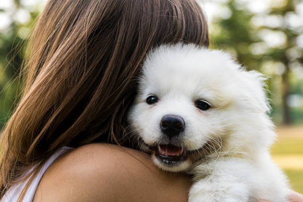 istock Woman playing with a small dog 824552138