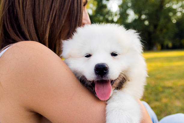 istock Girl and dog 824554272