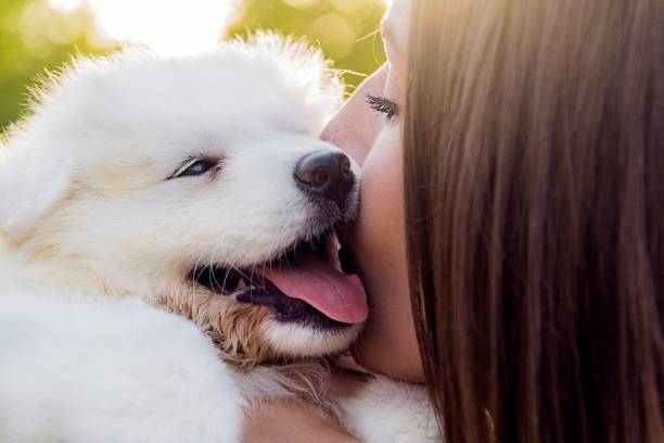 istock Girl and dog 824555360