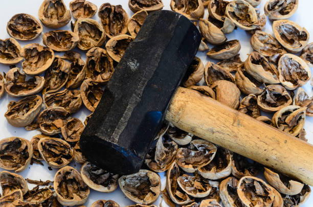 Sledgehammer laying on top of a spread of crushed walnuts on a white background