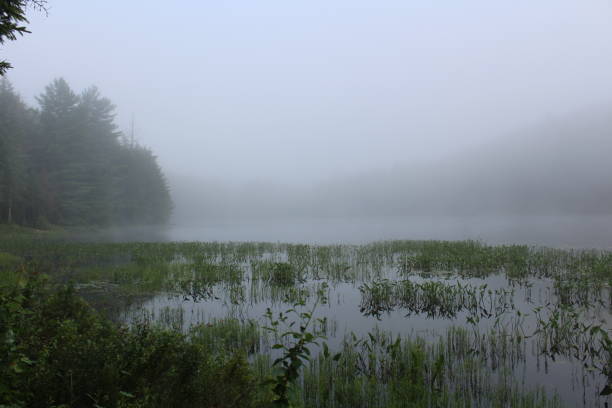 istock Foggy OK Slip Pond 824557050
