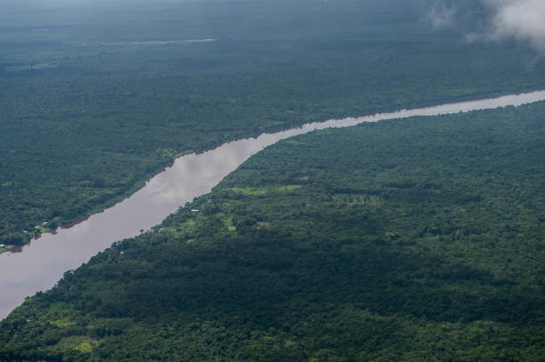 istock River and nature in Guyana, South America 824565060