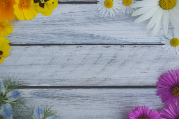 istock Frame of summer flowers on a light wooden surface 3 824565158
