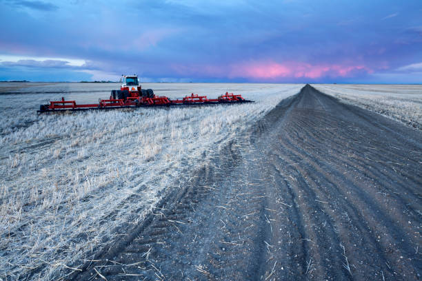 agricultura em canadá de saskatchewan a pradaria - saskatchewan country road road prairie - fotografias e filmes do acervo