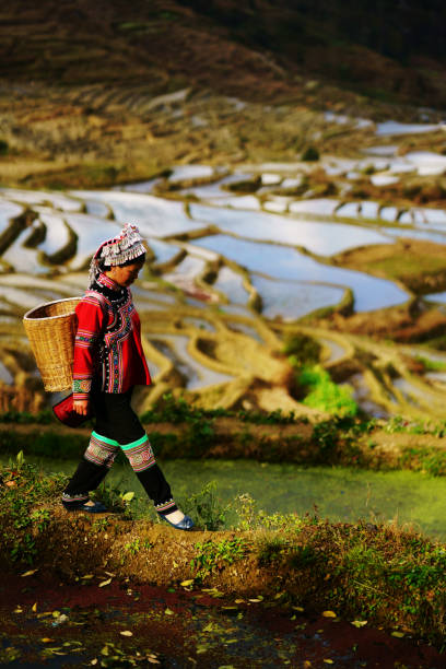 istock Flooded rice fields in South China 824565414