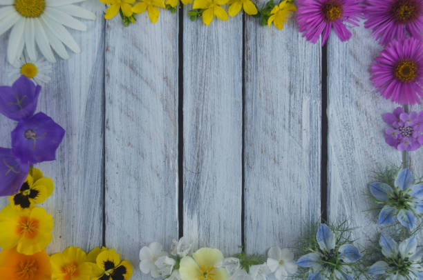 istock Frame of summer flowers on a light wooden surface 5 824565516