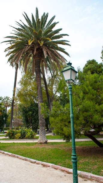 istock Jardines de Vivis (Viveros Garden), Valencia, Spain 824570842