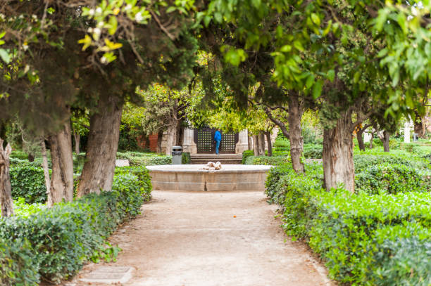 istock Jardines de Vivis (Viveros Garden), Valencia, Spain 824570862