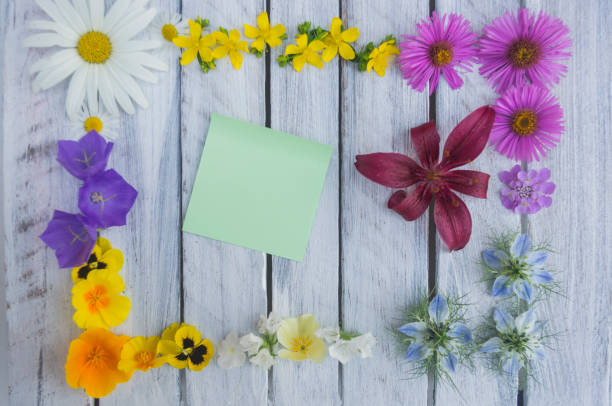 istock A note on a wooden surface framed by flowers 4 824572818