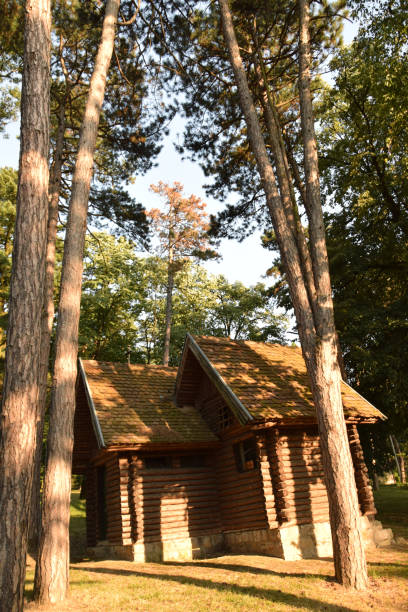 istock wooden cottage in the forest 824573222