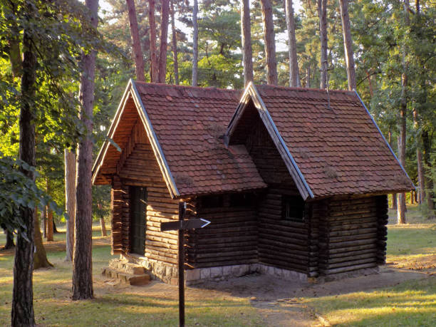 istock wooden cottage in the forest 824573242
