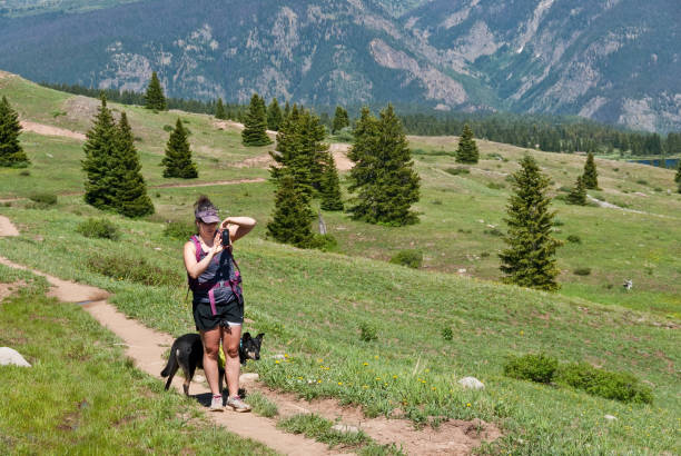 Young Woman Hiker Taking a Picture With Her Smart Phone A young woman hiker takes a picture with her smart phone while hiking the Colorado Trail in the San Juan National Forest, Colorado, USA. jeff goulden san juan mountains stock pictures, royalty-free photos & images