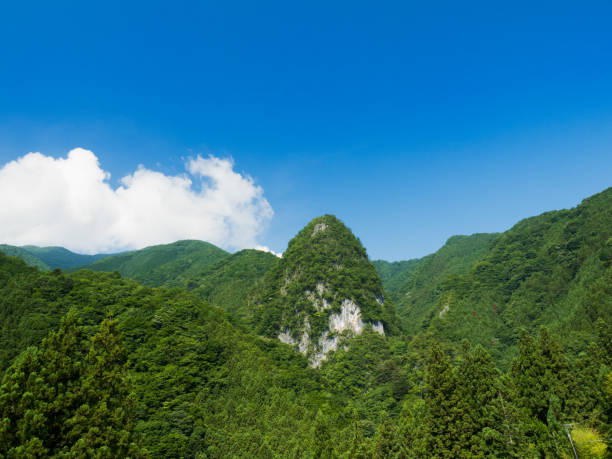 istock Fresh green mountain and sky 824580234