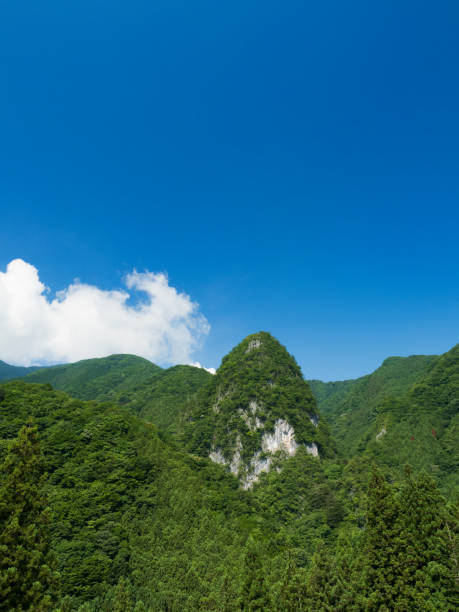 istock Fresh green mountain and sky 824580262
