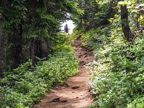 A trail on Iron Mountain in Western Oregon looking towards an open area with a senior woman hiker visible. The area is steep, rugged and beautiful.