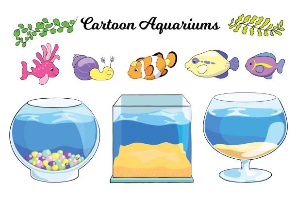 illustrations, cliparts, dessins animés et icônes de aquarium et poissons tropicaux vector illustration sur fond blanc. aquarium vide. - sand home interior drawing inside of