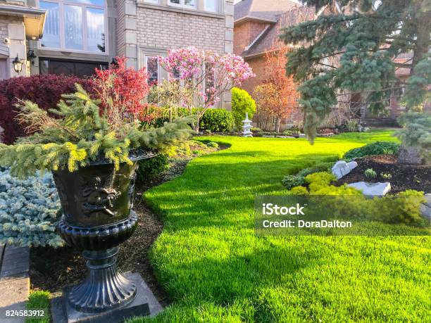 Flower Pot Stock Photo - Download Image Now - Yard - Grounds, Beauty, Landscape - Scenery