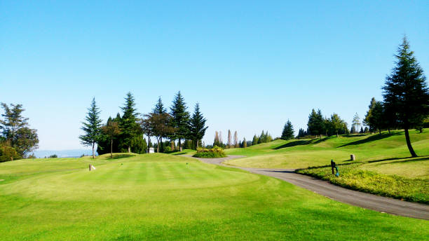 Golf course Golf course ゴルフ stock pictures, royalty-free photos & images