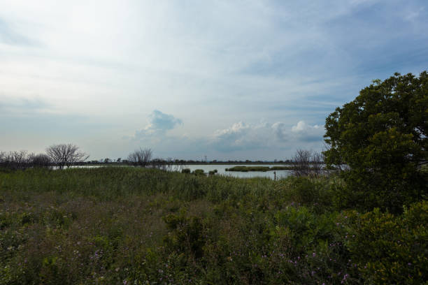 istock An Evening on Jamaica Bay 824594016