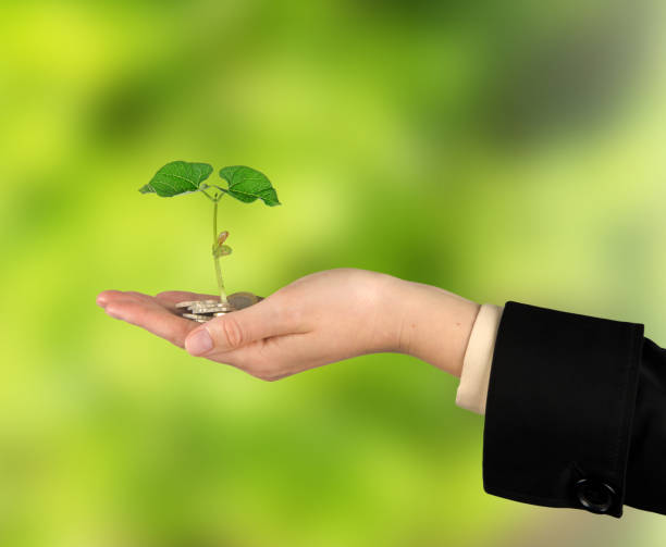 istock Investing to green business 824594320