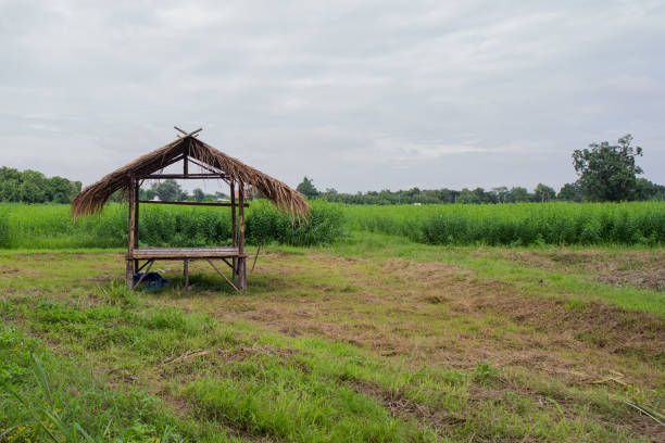 A small hut in the farm with cloudy sky background