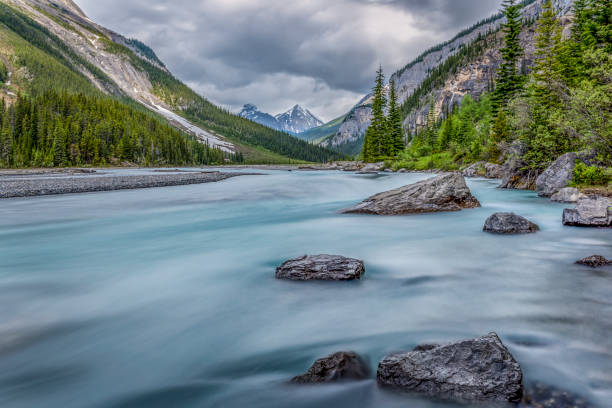 istock Bow River Icefields Parkway Banff National Park 824595114