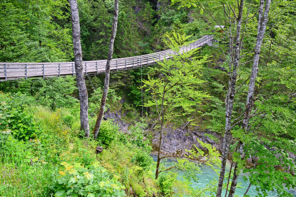 istock Suspension bridge, Wasserlochklamm, Austria 824595546