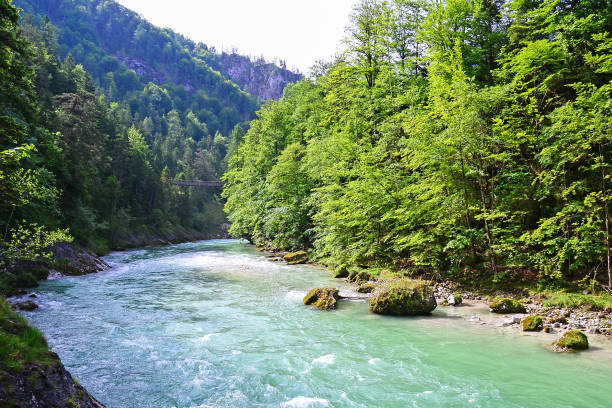 istock River at Wasserlochklamm, Austria 824595562