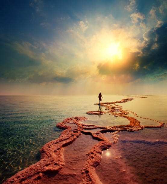 mujer caminando por la orilla de sal de mar muerto hacia el sol - dead sea fotografías e imágenes de stock