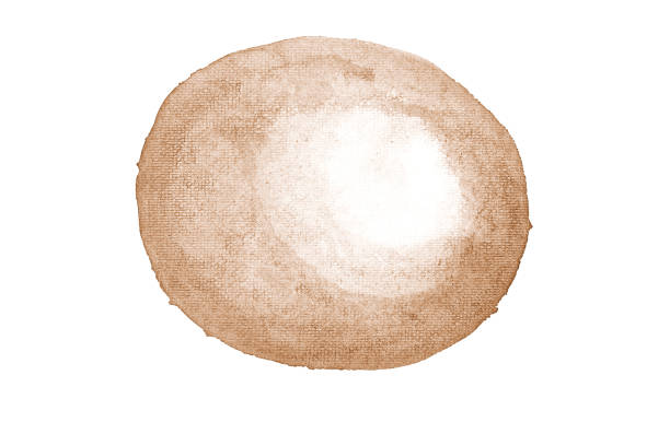 istock watercolor brown isolated on white background 824599936