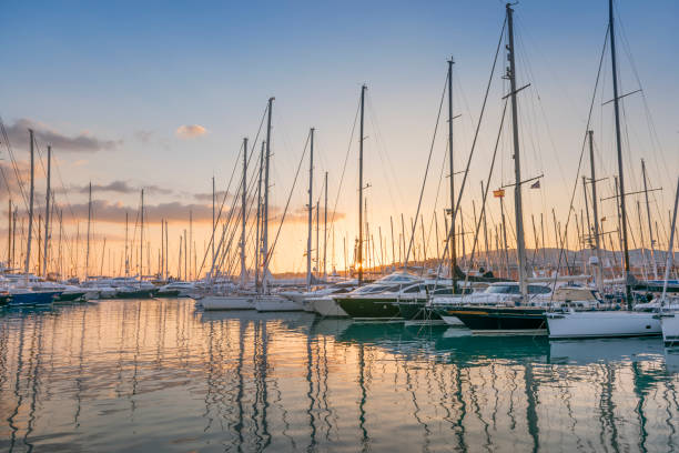 istock Marina Port de Mallorca, Palma Harbor, Mallorca, Spain 824602246