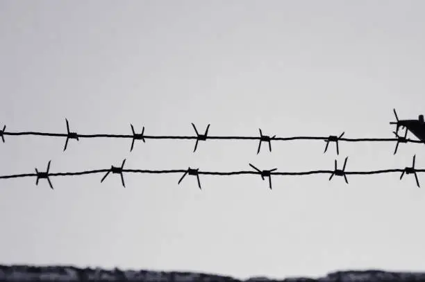Photo of dangerous barbed wire to demarcate the prison camp