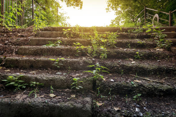 istock Old abandoned stone staircase in park 824608166