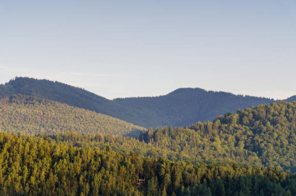 istock Carpathian mountains landscape view in Yaremche 824608862