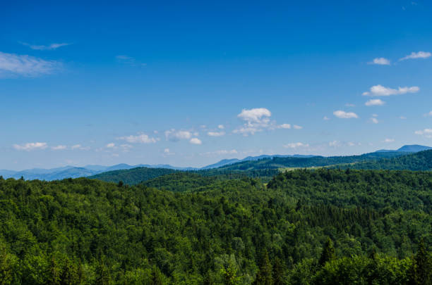 istock Carpathian mountains landscape view in Yaremche 824608900