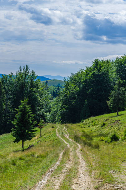 istock Carpathian mountains landscape view in Yaremche 824609124