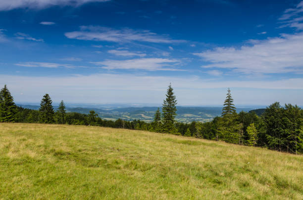 Carpathian mountains landscape view in Yaremche