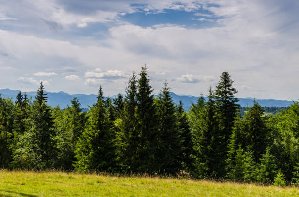 istock Carpathian mountains landscape view in Yaremche 824609218